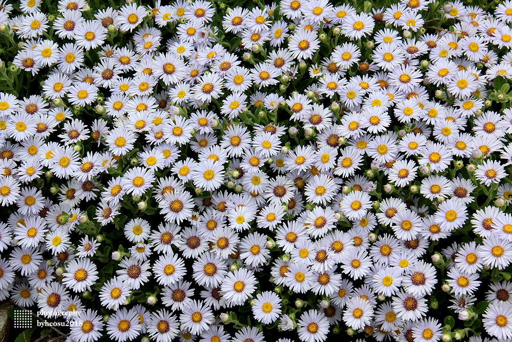 파일 설명을 입력해주세요.