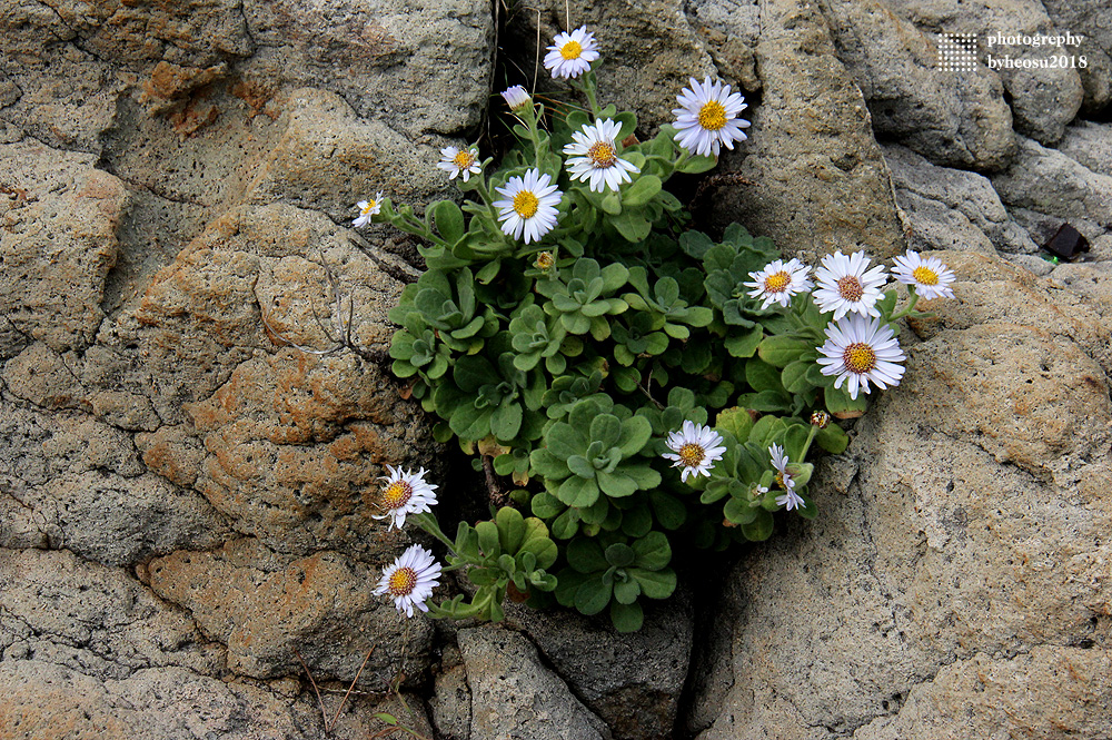파일 설명을 입력해주세요.