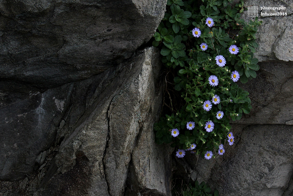 파일 설명을 입력해주세요.