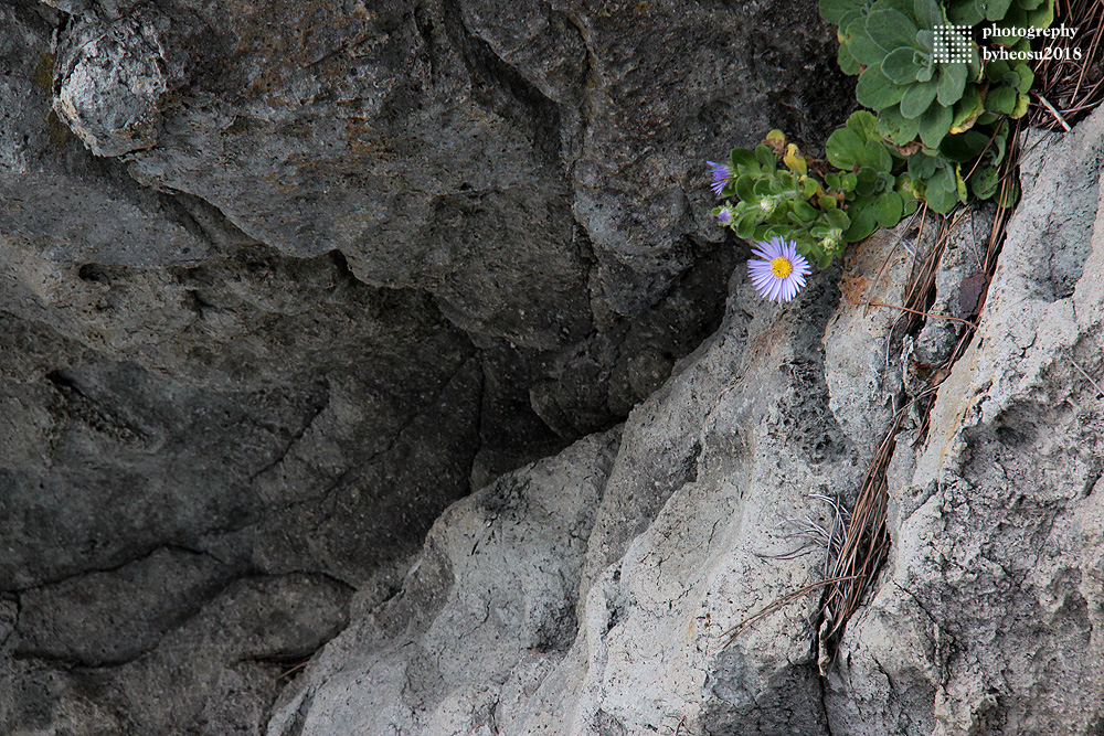 파일 설명을 입력해주세요.