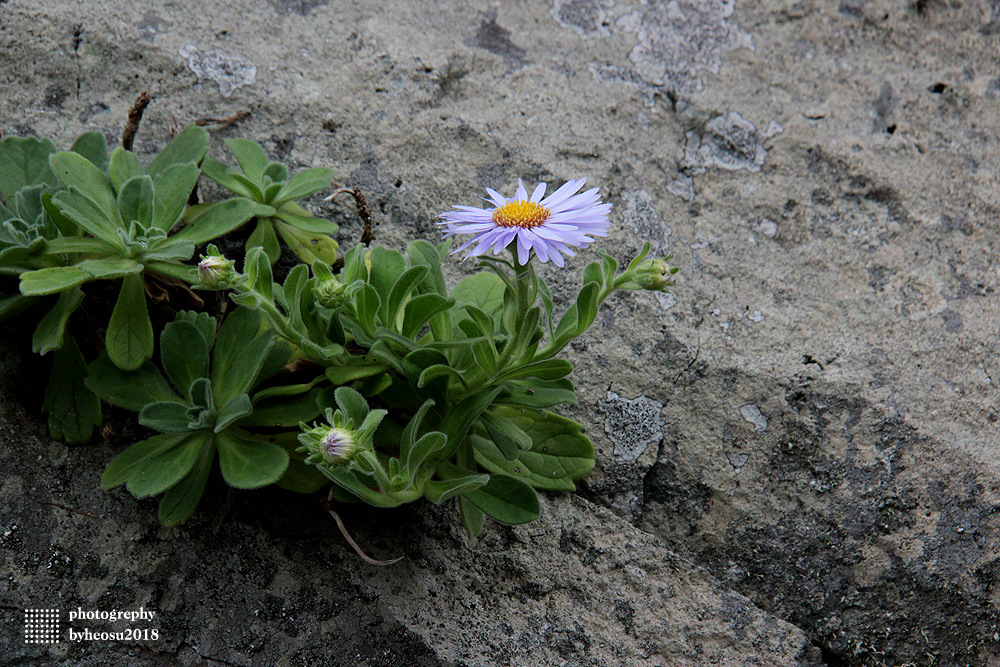 파일 설명을 입력해주세요.