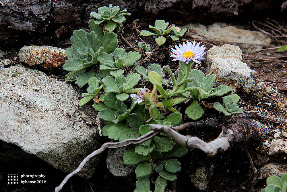 파일 설명을 입력해주세요.