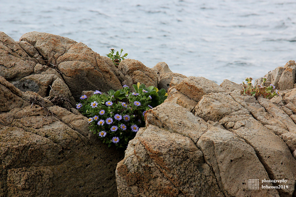 파일 설명을 입력해주세요.