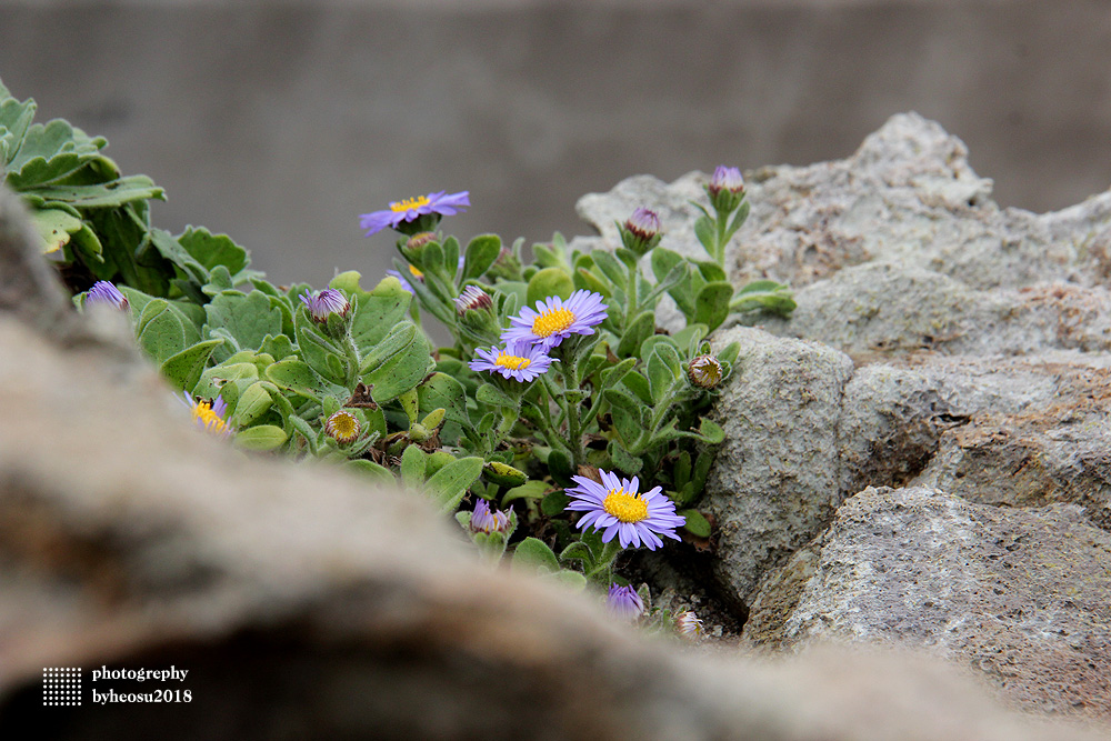 파일 설명을 입력해주세요.