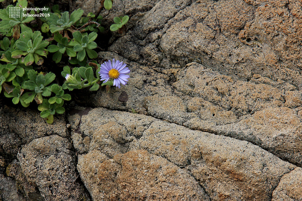 파일 설명을 입력해주세요.