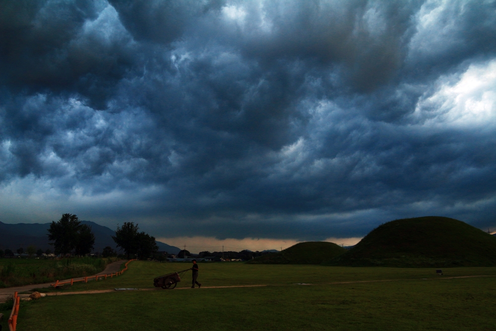 집으로 가는 길
