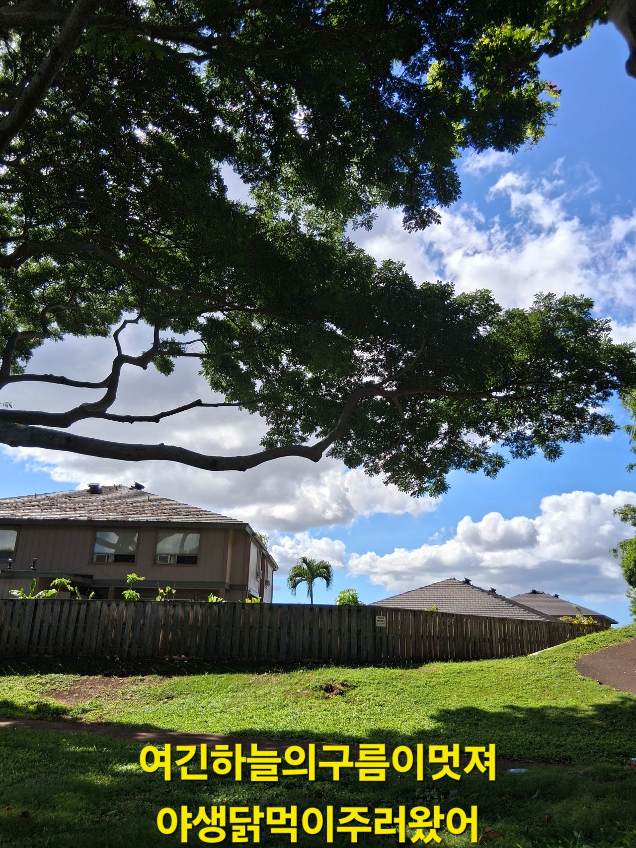 위 글씨 수정불가라서  그냥 봐주세료 .